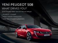 Peugeot özel servisi ve Orjinal yedek parça Alanya